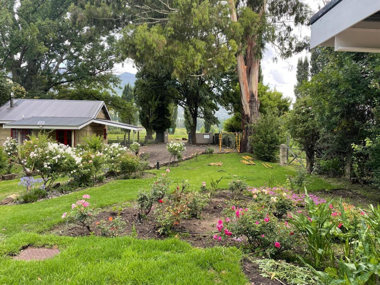 Periwinkle, Grove ,Acorn & Sage Cottages Clarens Ngoại thất bức ảnh