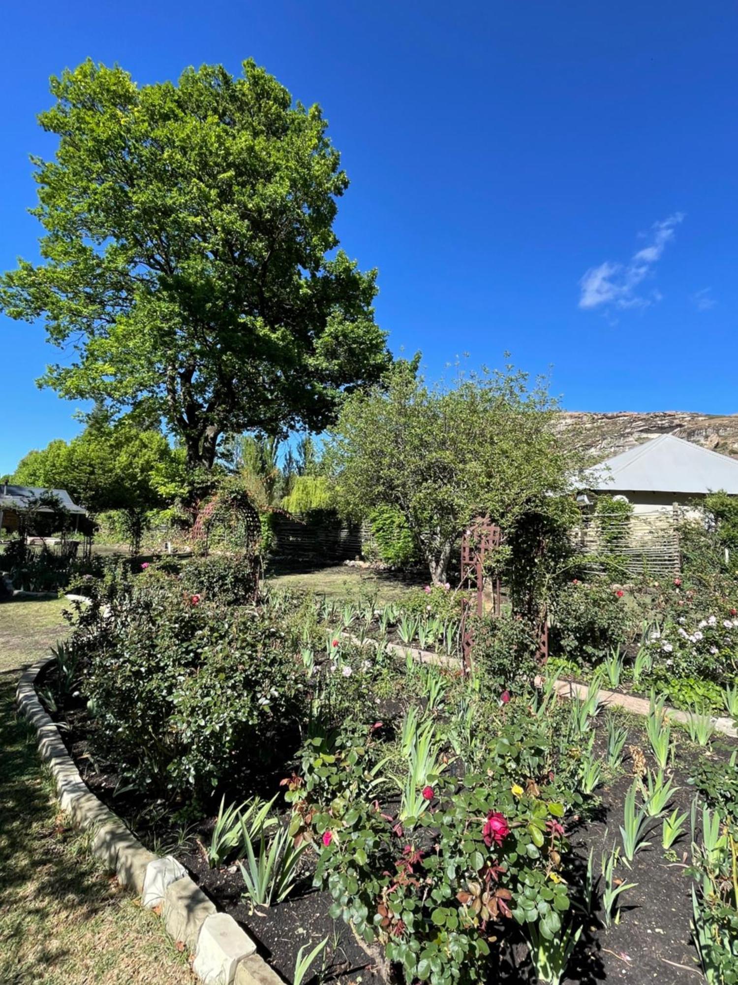 Periwinkle, Grove ,Acorn & Sage Cottages Clarens Ngoại thất bức ảnh