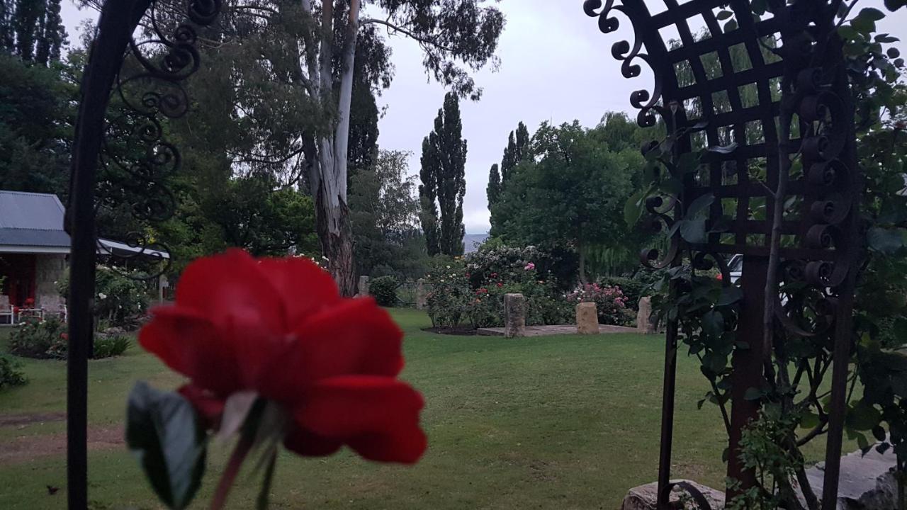 Periwinkle, Grove ,Acorn & Sage Cottages Clarens Ngoại thất bức ảnh