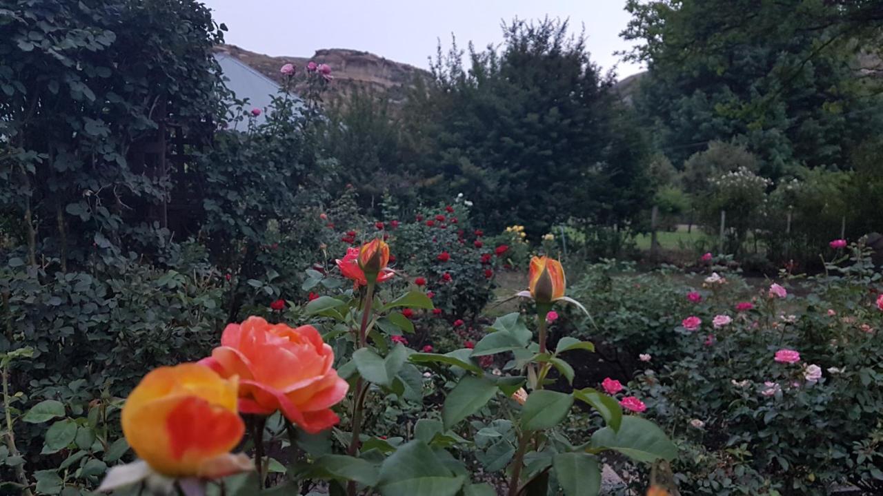Periwinkle, Grove ,Acorn & Sage Cottages Clarens Ngoại thất bức ảnh